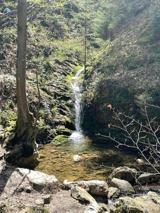 Little Roua Ardenne Cottage 4 Pers Stoumont Buitenkant foto