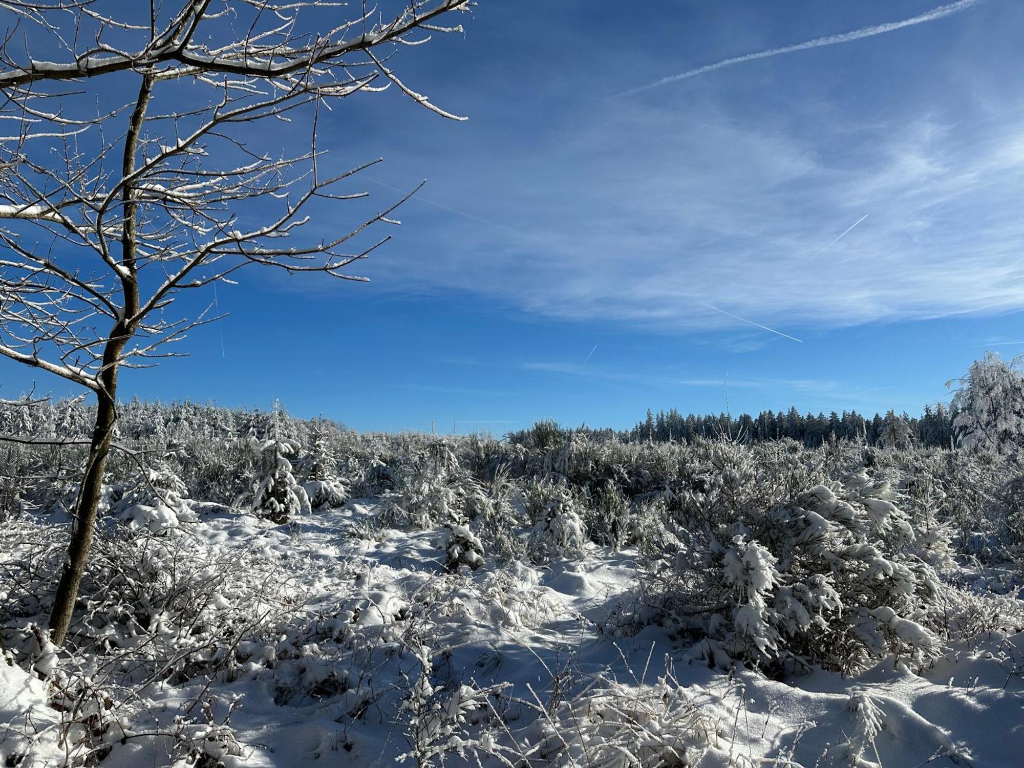 Little Roua Ardenne Cottage 4 Pers Stoumont Buitenkant foto